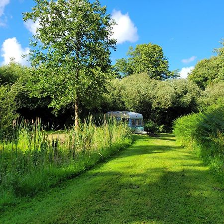 Budget Stay, In Lovely Private Setting With Rustic Charm, Log Burner, Fire Pit, Campers Kitchen & Eco Loo No Bedding Supplied Narberth Zewnętrze zdjęcie