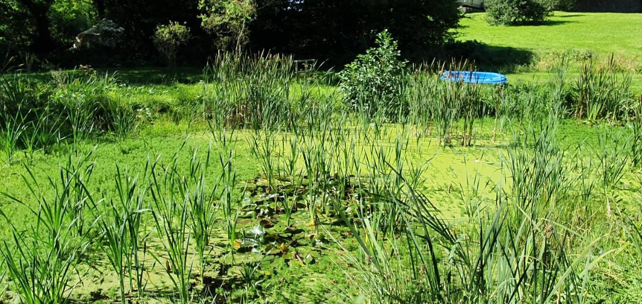 Budget Stay, In Lovely Private Setting With Rustic Charm, Log Burner, Fire Pit, Campers Kitchen & Eco Loo No Bedding Supplied Narberth Zewnętrze zdjęcie