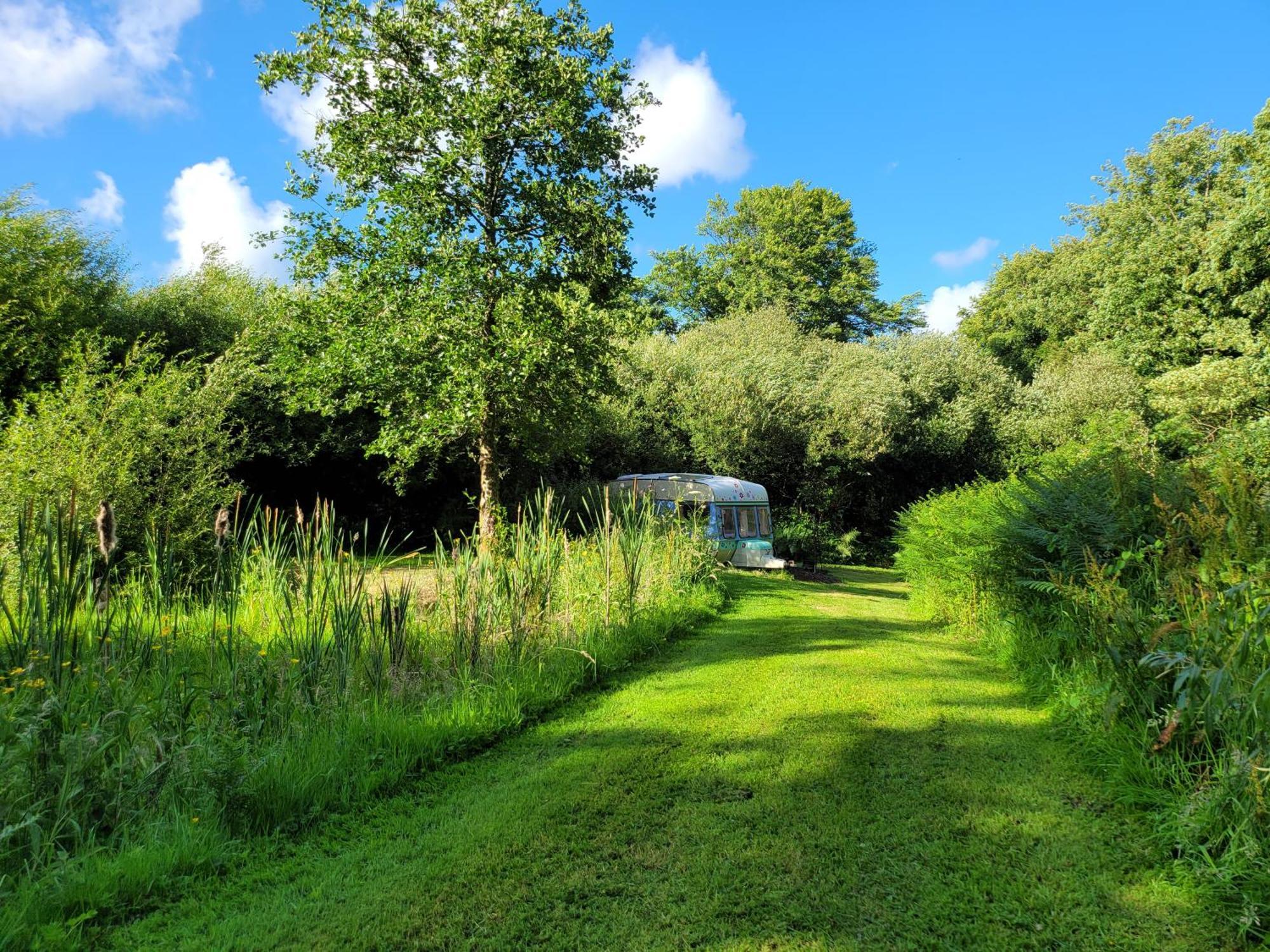 Budget Stay, In Lovely Private Setting With Rustic Charm, Log Burner, Fire Pit, Campers Kitchen & Eco Loo No Bedding Supplied Narberth Zewnętrze zdjęcie